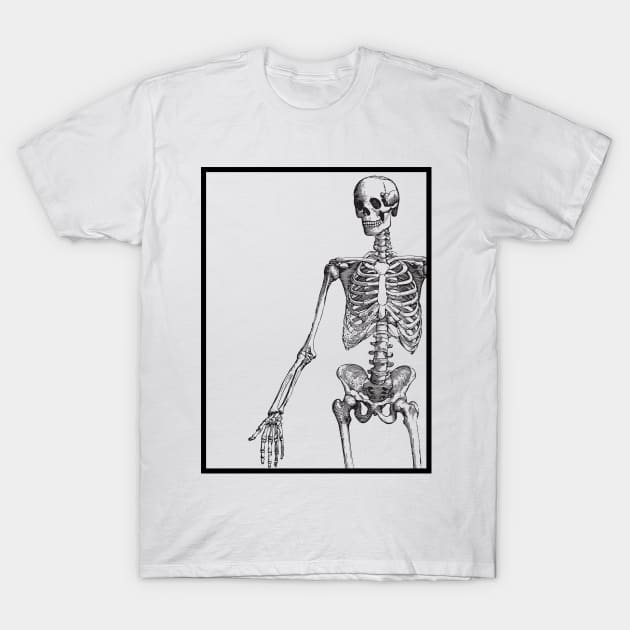 Mr. Skeleton T-Shirt by boutiquedhorreur